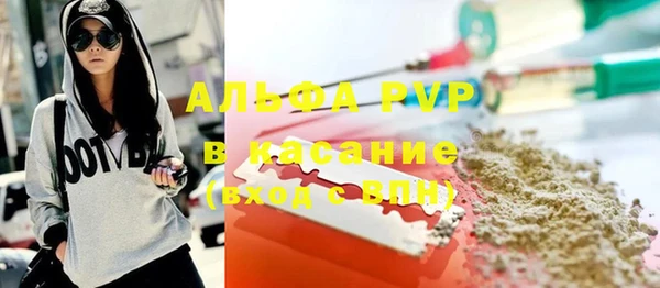 СК Алексин