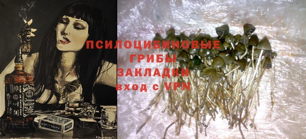 spice Алексеевка
