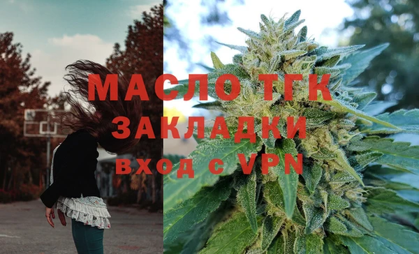 СК Алексин